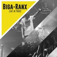 Thumbnail for the Biga Ranx - Spliff It Up link, provided by host site