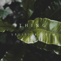 Thumbnail for the Thing - Spliff Riddim link, provided by host site