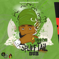 Thumbnail for the Lutan Fyah - Spliff Tail 420 Dub link, provided by host site