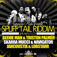 Thumbnail for the Beenie Man - Spliff Tail link, provided by host site