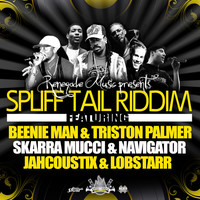 Thumbnail for the Beenie Man - Spliff Tail Riddim link, provided by host site