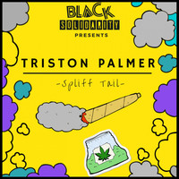Thumbnail for the Triston Palma - Spliff Tales (2019 Remaster) link, provided by host site