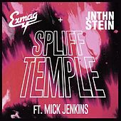Thumbnail for the Exmag - Spliff Temple link, provided by host site