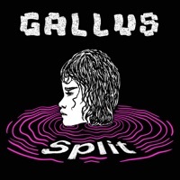 Thumbnail for the Gallus - Split link, provided by host site