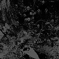 Thumbnail for the Primitive Man - Split link, provided by host site