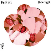 Thumbnail for the Venturi - Spotlight link, provided by host site