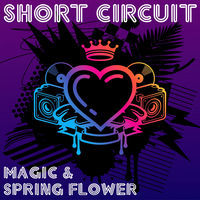 Thumbnail for the Short Circuit - Spring Flower link, provided by host site