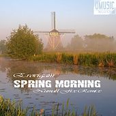 Thumbnail for the Erovigam - Spring Morning (Numall Fix Remix) link, provided by host site