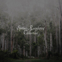 Thumbnail for the Spa Music Collective - Spring Rainforest Collection link, provided by host site