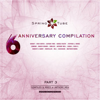 Thumbnail for the Anthony Mea - Spring Tube 6th Anniversary Compilation, Pt. 3 (Compiled and Mixed by Anthony Mea) link, provided by host site