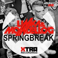 Thumbnail for the Linka - Springbreak (Xtended Mix) link, provided by host site