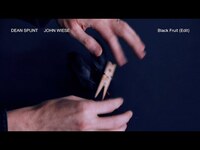 Thumbnail for the Dean - Spunt and John Wiese "Black Fruit (Edit)" link, provided by host site
