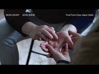 Thumbnail for the Dean - Spunt and John Wiese "Fruit From Color Vapor (Edit)" link, provided by host site