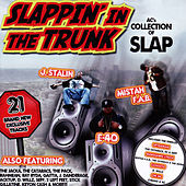 Thumbnail for the The Cataracs - Spydaman link, provided by host site