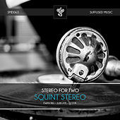 Thumbnail for the Stereo For Two - Squint Stereo link, provided by host site
