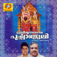Thumbnail for the Gayathri - Sree Muthappa link, provided by host site