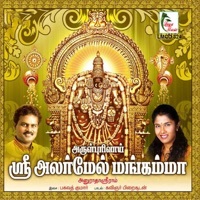 Thumbnail for the Anuradha Sriram - Sri Alarmel Mangamma link, provided by host site