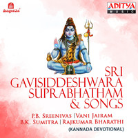 Thumbnail for the Vani Jayaram - Sri Gavisidda Deepthi link, provided by host site