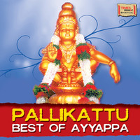 Thumbnail for the Veeramani Raju - Sri Sabarigirisa Ashtakam link, provided by host site