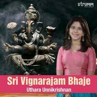 Thumbnail for the Uthara Unnikrishnan - Sri Vignarajam Bhaje link, provided by host site
