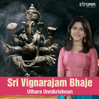 Thumbnail for the Uthara Unnikrishnan - Sri Vignarajam Bhaje link, provided by host site
