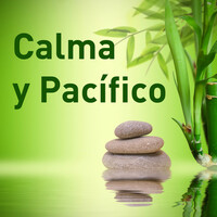 Thumbnail for the Relax - Stability link, provided by host site