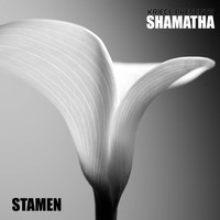 Thumbnail for the Kriece - Stamen link, provided by host site