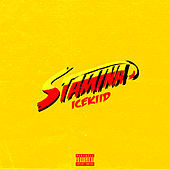 Thumbnail for the ICEKIID - Stamina link, provided by host site