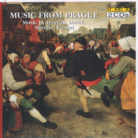 Thumbnail for the Bob Weiner - Stamitz: Flute Concerto In G - Andante Non Troppo Moderato link, provided by host site