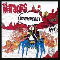 Thumbnail for the The Meteors - Stampede! link, provided by host site