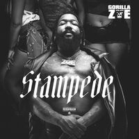 Thumbnail for the Gorilla Zoe - STAMPEDE link, provided by host site