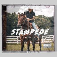 Thumbnail for the Katie Noel - Stampede link, provided by host site