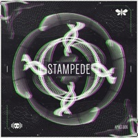 Thumbnail for the AudioFreQ - Stampede link, provided by host site