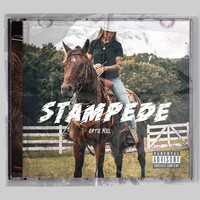 Thumbnail for the Katie Noel - Stampede link, provided by host site