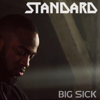 Thumbnail for the Big Sick - Standard link, provided by host site