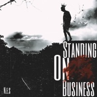 Thumbnail for the Nes - Standing on Business link, provided by host site