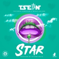 Thumbnail for the T-Sean - Star link, provided by host site