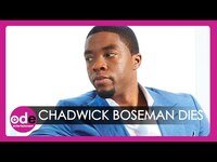 Thumbnail for the Black Panther - Star Chadwick Boseman Dies Aged 43 link, provided by host site