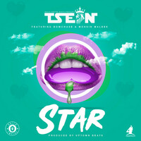 Thumbnail for the T-Sean - Star link, provided by host site