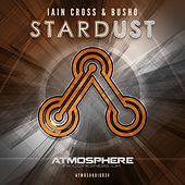 Thumbnail for the Iain Cross - Stardust link, provided by host site