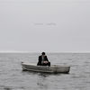 Thumbnail for the Darwin - Starfishing link, provided by host site