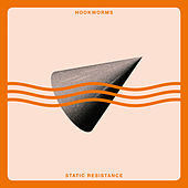 Thumbnail for the Hookworms - Static Resistance link, provided by host site