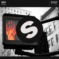 Thumbnail for the EDX - Stay link, provided by host site