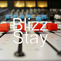 Image of Blizz linking to their artist page due to link from them being at the top of the main table on this page