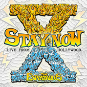 Thumbnail for the The Expendables - Stay Now link, provided by host site