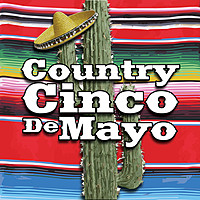 Thumbnail for the Toby Keith - Stays In Mexico - Greatest Hits 2 Version link, provided by host site
