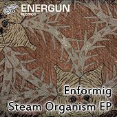 Thumbnail for the Enformig - Steam Organism link, provided by host site