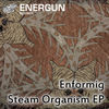 Image of Enformig linking to their artist page due to link from them being at the top of the main table on this page
