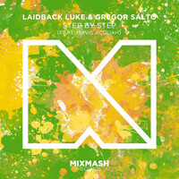 Thumbnail for the Laidback Luke - Step by Step/Shine Your Light link, provided by host site