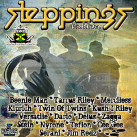Thumbnail for the Cee Gee - Steppings Riddim link, provided by host site